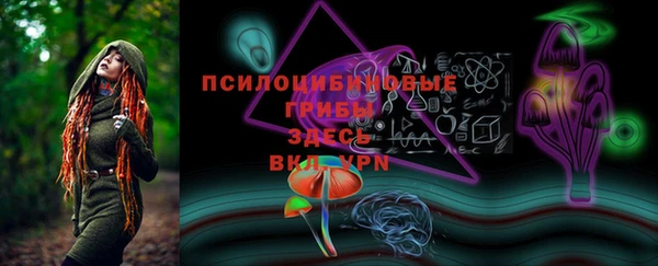 спиды Богданович