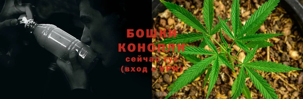 спиды Богданович