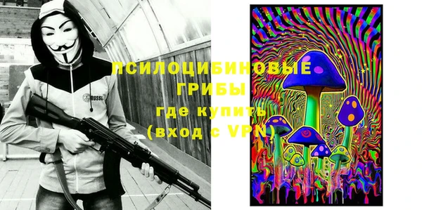 спиды Богданович
