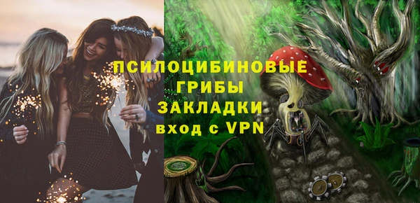 прущая мука Богородск