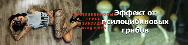спиды Богданович