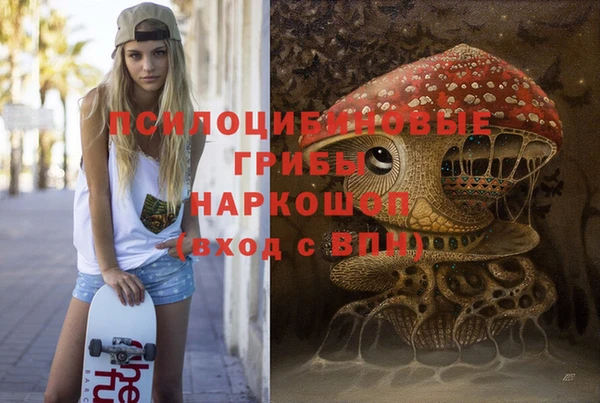 спиды Богданович