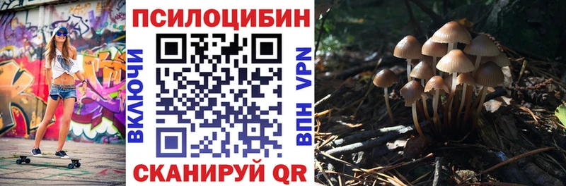 Псилоцибиновые грибы Psilocybine cubensis  где продают   Шумиха 